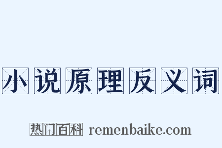 小说原理反义词是什么意思的图片